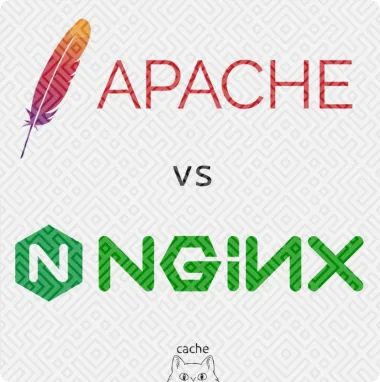 APACHE Y NGINX NOVEDADES 2024