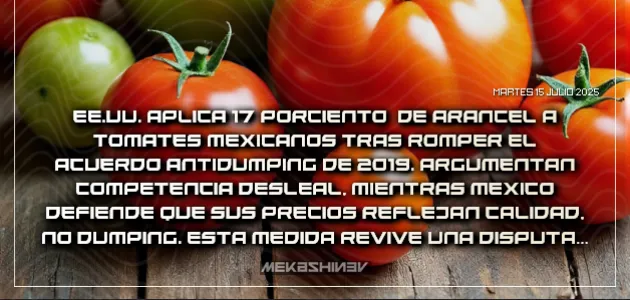 tomates, alimentos